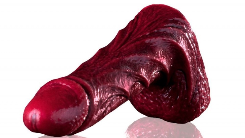 Fleshlight Drac Freaks Dildo | RIYADH OFBAX0826